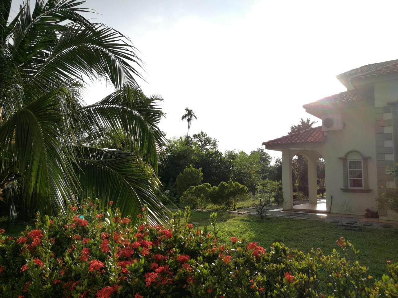 Guesthouse Dragon Place Taiping Buitenkant foto