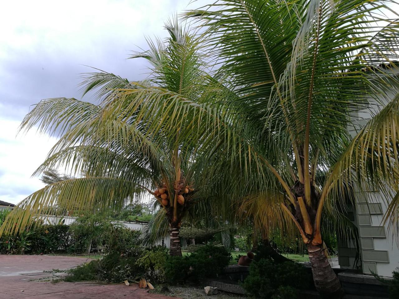 Guesthouse Dragon Place Taiping Buitenkant foto